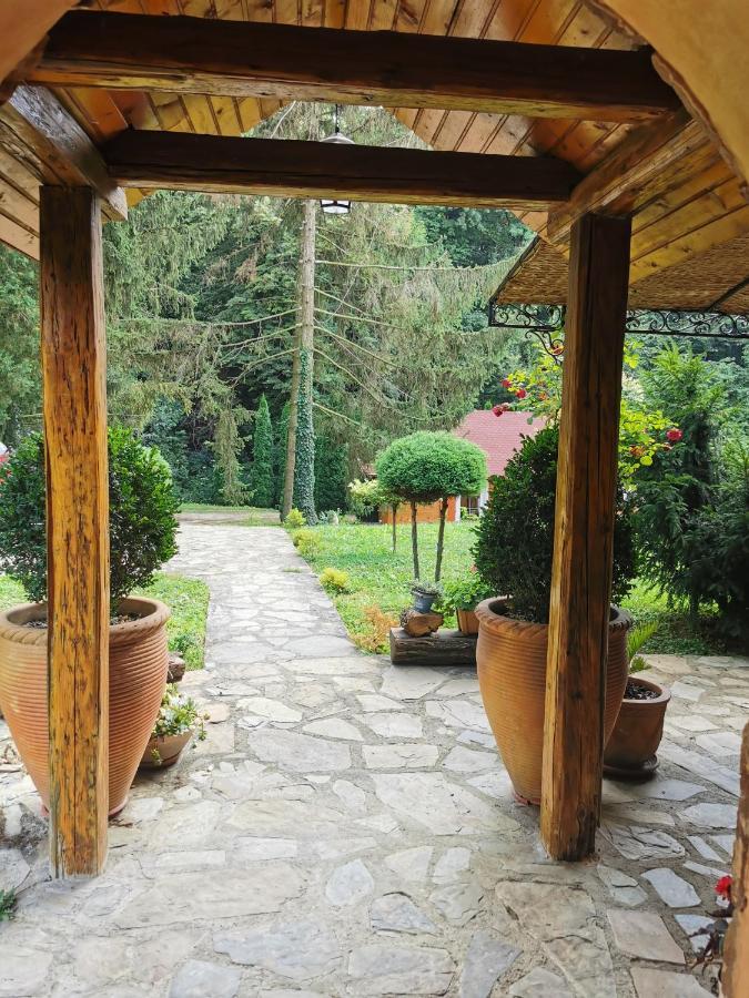 Vikendica Kraj Dunava Oaza Banostor Ngoại thất bức ảnh